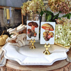 Boletus Beauties - Custom Place Cards- Upright