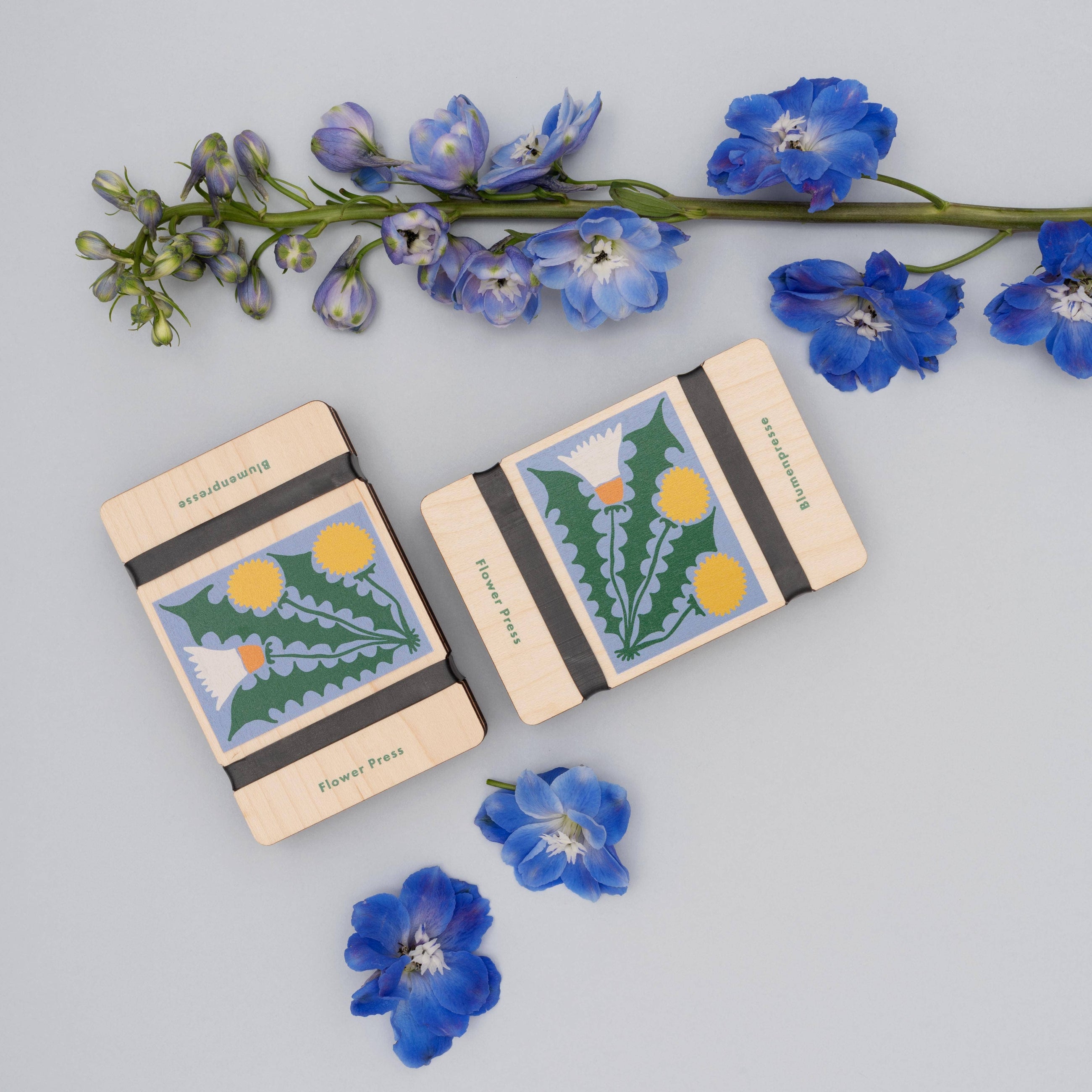 Pocket Flower Press - Dandelion