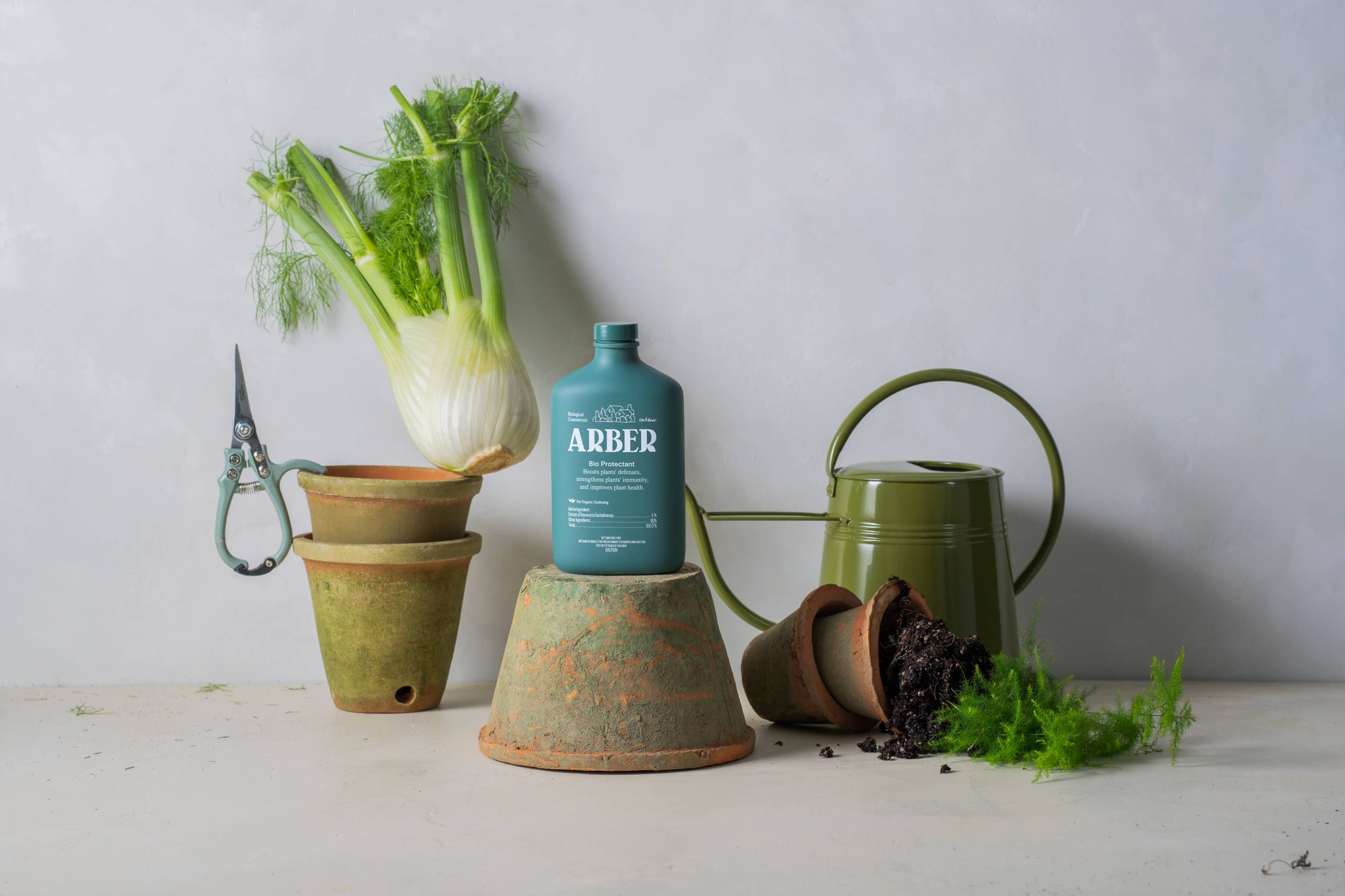 Organic Arber Bio Protectant/Disease Control 16oz