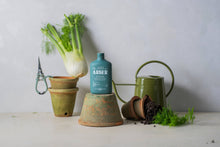 Organic Arber Bio Protectant/Disease Control 16oz