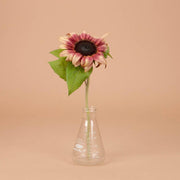 ProCut Plum Sunflower - 25 Seeds