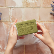 Scented Shea Butter Soap 8.8 oz.
