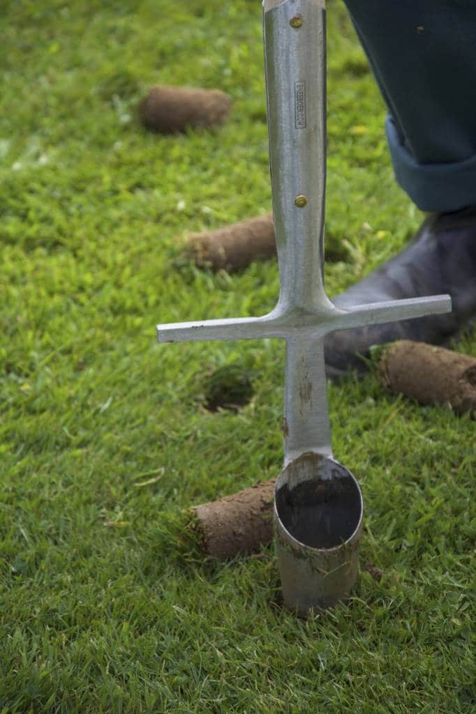 Great Dixter Bulb Planter