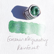 Paintstones