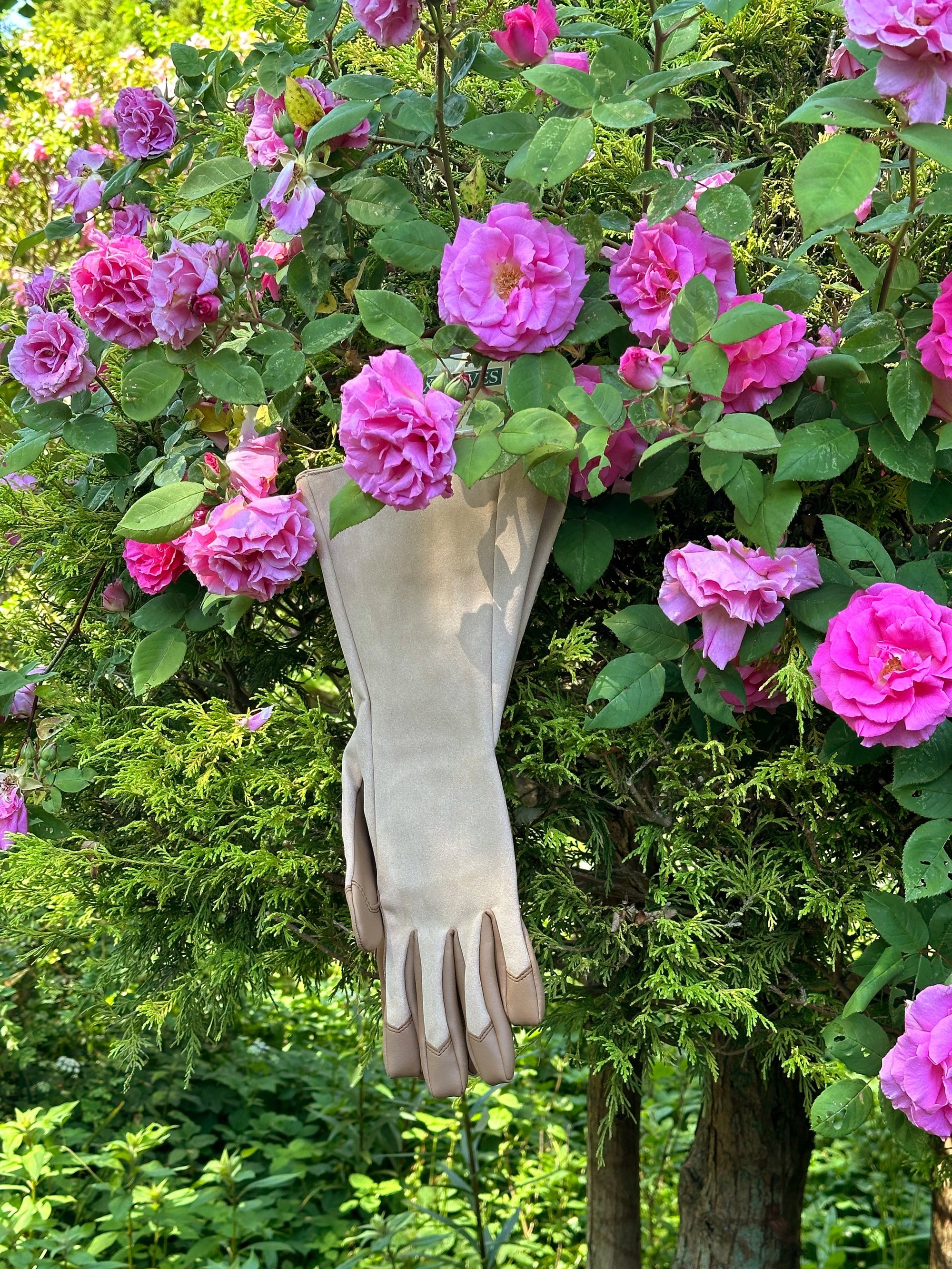 gardening gauntlet gloves Foxgloves - Gauntlet