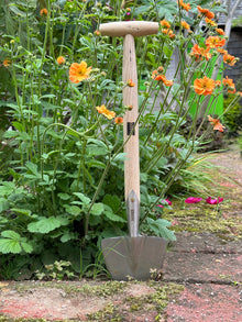 Perennial Spade