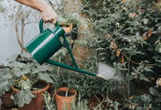 The Warley Fall Green Watering Can