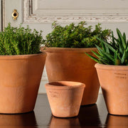 Tom Pot 5"