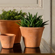 Tom Pot 5"
