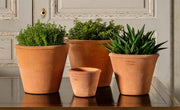 Tom Pot 7"