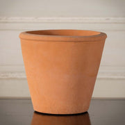 Tom Pot 7"